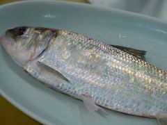 -沪依小酒馆心意菜