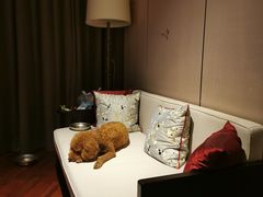 -上海崇明金茂凯悦酒店