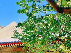 -颐和园