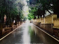 -八大关景区