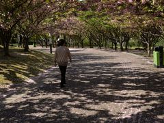 -苏州河梦清园环保主题公园