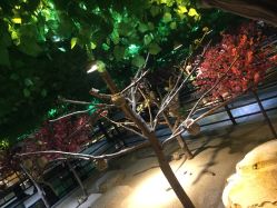 -酷嗒动物文化乐园(cutezoo西溪乐天城店)