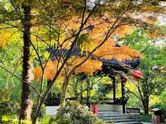 -上海醉白池公园