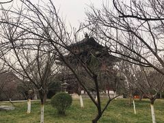 -西安青龙寺遗址景区