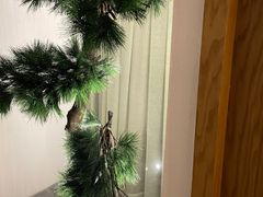 -新盈光·云会所(百丈东路店)