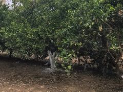 -艾溪湖湿地公园