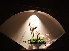 -嘉善老市