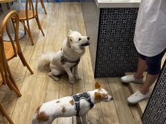 -OZ cafe(南昌路店)