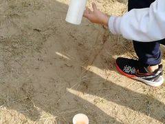 -顺鑫绿色度假村