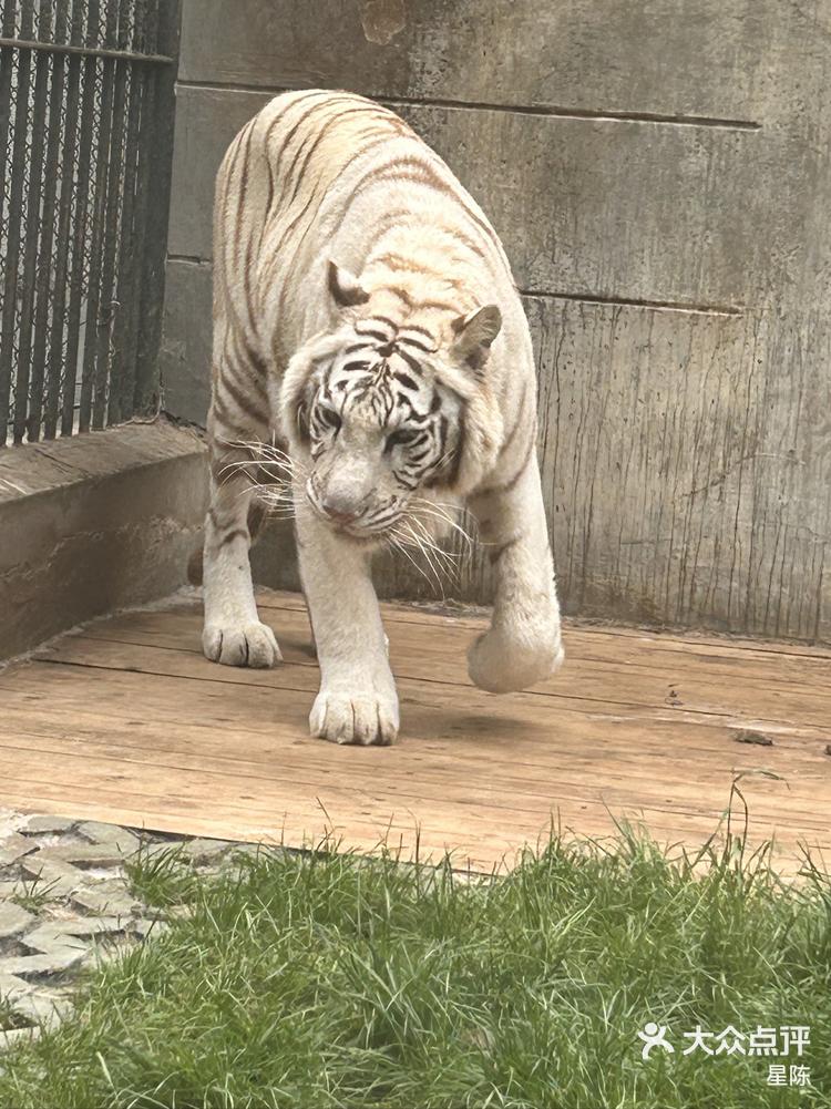 赭山动物园里有什么