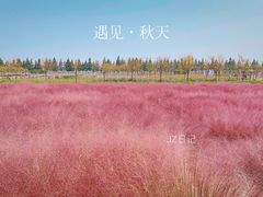 -嘉北郊野公园