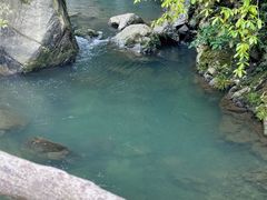 -石台牯牛降景区