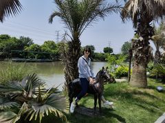 -桃园农庄·桃源宴