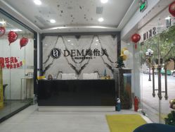 -DEM缔怡美科技美容