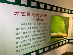 -上海昆虫博物馆