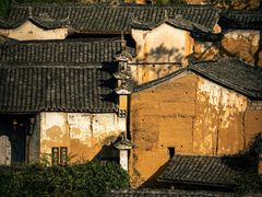 -杨家堂村