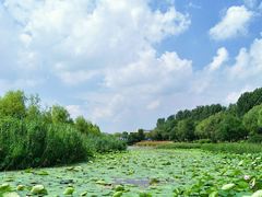 -丁香湖公园