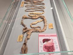 -陕西自然博物馆