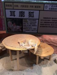 -Zoolung Zoolung动物主题公园(海信广场店)