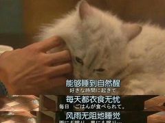 -南阳食府·河南豫菜(南阳驻京办店)