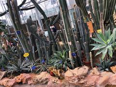 -国家植物园南园