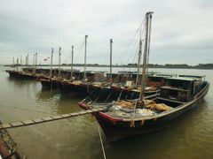 -大湾区中央湿地公园-十九涌