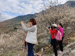 -广州市流溪河国家森林公园