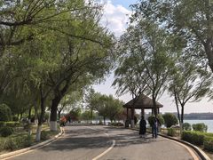 -丁香湖公园