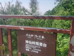-陕西省红河谷森林公园