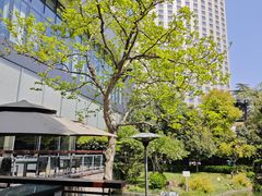 -上海虹桥宾馆味翠餐厅