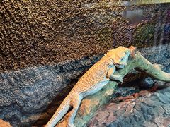 -齐齐哈尔龙沙动植物园