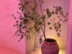 -舒小悦·舒养SPA·古法推拿(光环中心店)