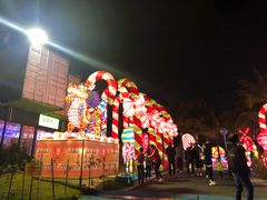 -欢乐海岸椰林沙滩-2025湾区超级灯会