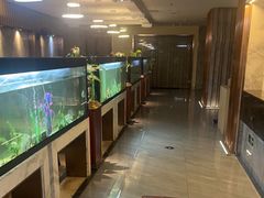 -水立方国际汤泉(六一中路店)