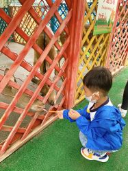 点击看大图 -萌宠亲子动物乐园(槐房万达店)