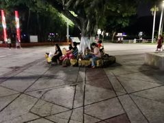 -金砂公园