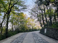 -紫金山山顶公园