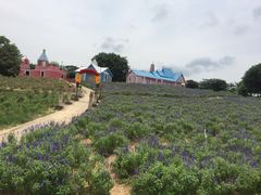 -松山湖梦幻百花洲