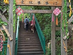 -西双版纳原始森林公园
