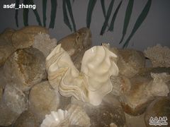 -亚龙湾中心广场·贝壳馆