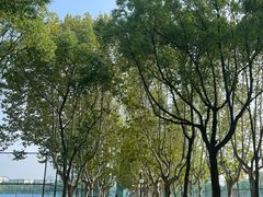 -华东政法大学(松江校区)