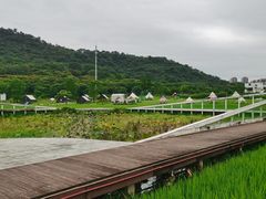 -艾米稻香小镇