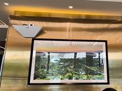 -润园四季椰子鸡火锅(欢乐海岸店)