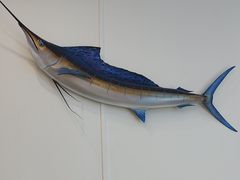 -深海中餐厅(国家海洋博物馆店)