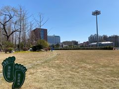 -上海财经大学-新食堂