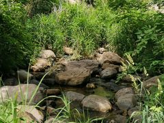 -碓臼峪自然风景区