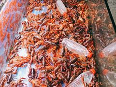 -小杨烤肉(朱雀店)