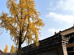 -老鼎万春卤菜(五代传承创始老店)