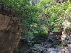 -龙洞风景区-藏龙涧