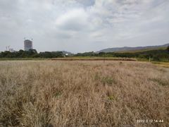-光明小镇欢乐田园